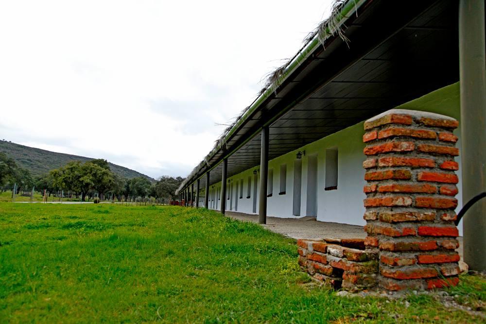 Hotel Rural Puerta De Monfrague 比利亚雷亚尔圣卡洛斯 外观 照片
